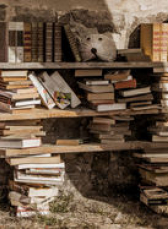 Salon du livre de Chazelle sur Lyon